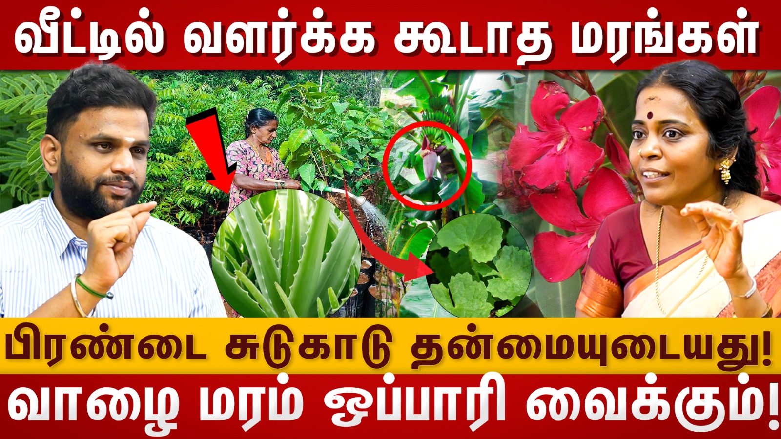 Naadi Jothider Jayanthi Ravi Interviewவீட்டில் வளர்க்க கூடாத மரங்கள்