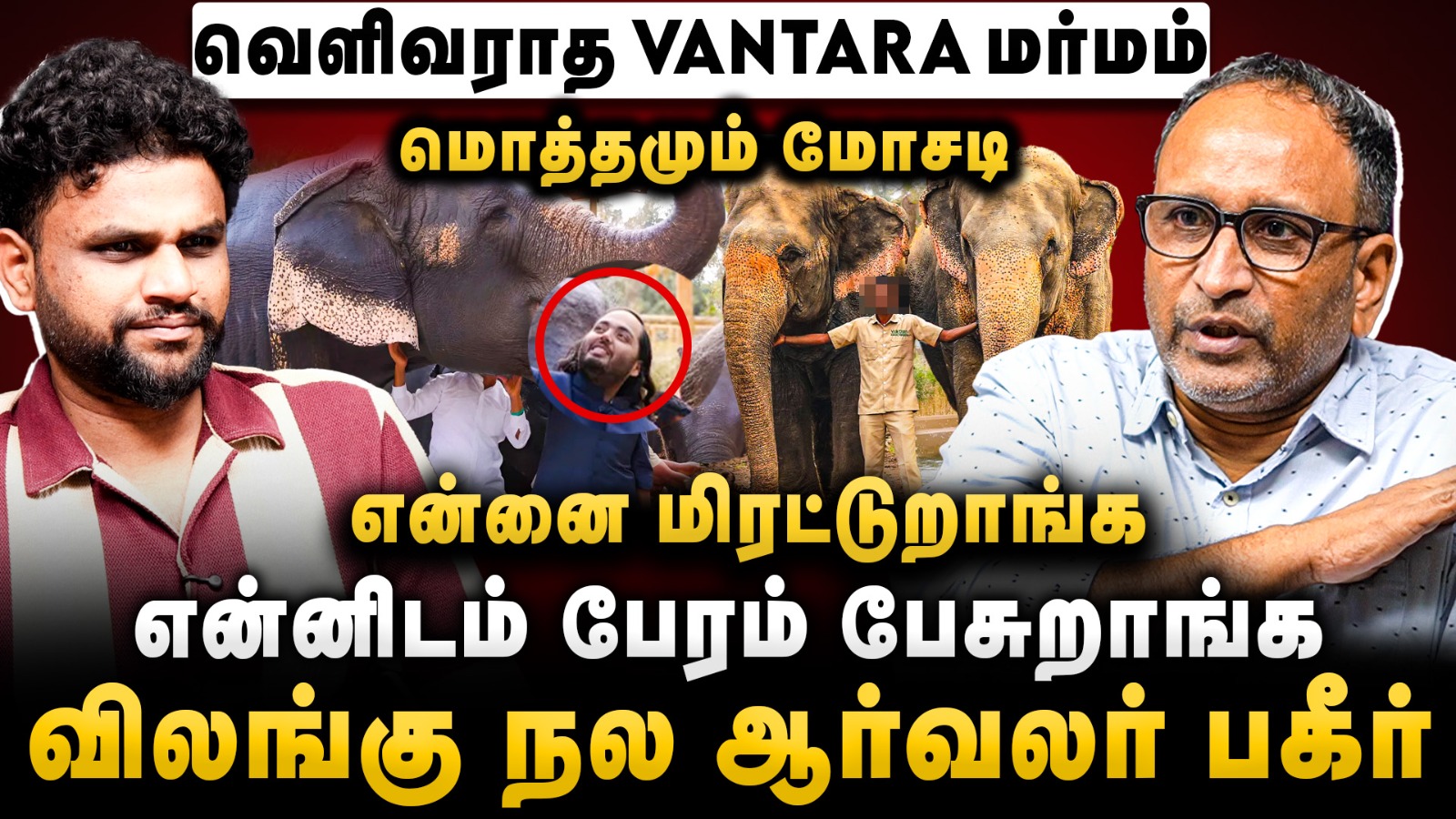 video-section-banner-image